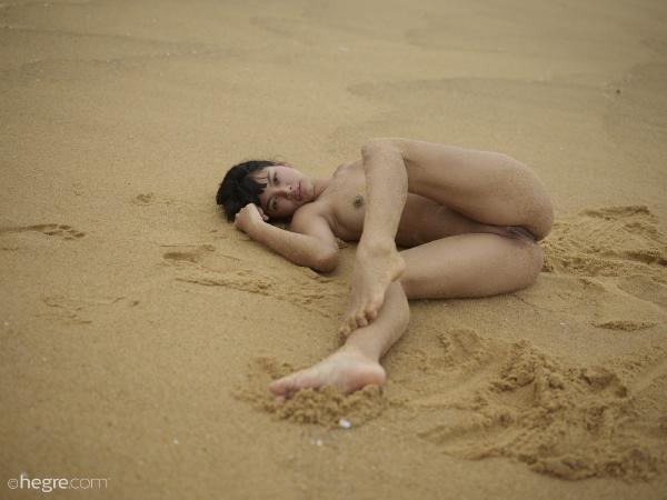 Pin che gioca nella sabbia #36